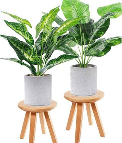 img 3 attached to Mid Century Wood Plant Stand: Stylish Flower Pot Holder for 🌿 Indoor Plants (300lbs Capacity) - Perfect for Patio, Living Room & Bedroom