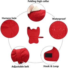 img 2 attached to 🧥 Morezi Dog Jacket: Warm Fleece Lined Winter Coat for Greyhounds, Lurchers, and Whippets - Waterproof & Adjustable