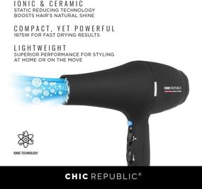 img 2 attached to 💨 Powerful, Quiet and Fast Ionic Hair Dryer - Compact and Lightweight for Travel - 1875W Professional Ceramic Blow Dryer