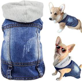 img 4 attached to 👕 Stylish Pet Apparel: Blue Denim Dog Jeans Jacket with Hoodie | Vintage Washable Lapel Vest for Small-Medium Dogs & Cats