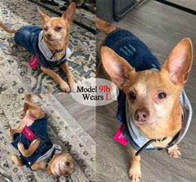 img 2 attached to 👕 Stylish Pet Apparel: Blue Denim Dog Jeans Jacket with Hoodie | Vintage Washable Lapel Vest for Small-Medium Dogs & Cats