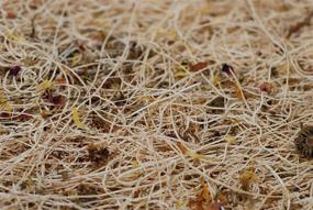 img 2 attached to 10 пакетов куриного гнезда: ароматные травы для гнезда, естественный лесной опилки-подстилка из аспена для птицеводства - 13 x 13 дюймов.