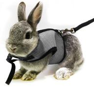 asocea adjustable harness stretchy leash logo