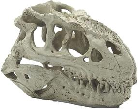 img 4 attached to 🦖 Norgail Aquarium Decor Dinosaur Skull Replica - Perfect Habitat for Shrimp, Small Fish Breeding, and Pet Reptiles - Resin Ornament for Fish Tank and Reptile House