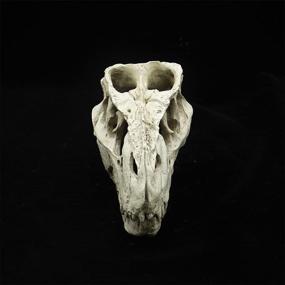 img 1 attached to 🦖 Norgail Aquarium Decor Dinosaur Skull Replica - Perfect Habitat for Shrimp, Small Fish Breeding, and Pet Reptiles - Resin Ornament for Fish Tank and Reptile House