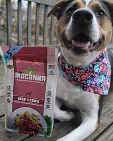 img 2 attached to Grain-Free Freeze-Dried Beef Recipe Dog Food by Grandma Lucy's Macanna - 3lb Bag