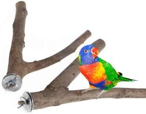 img 3 attached to 🐦 Pack of 2 Natural Wooden Fork Perch Stands for Budgies, Conures, Caciques, Cockatiels, Parakeets, Cockatoos - PINVNBY Bird Branches Toys for Parrot Cage