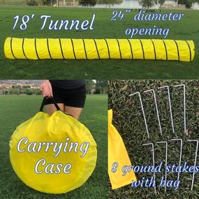 img 3 attached to 🐾 Rise8 Studios Pet Training Equipment: Dog Agility Tunnel - 420D Polyester, Rip/Tear Resistant, 24" Diameter, 18' Long - Includes Carry Bag and Ground Stakes