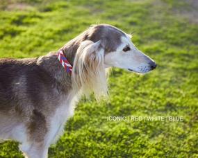 img 2 attached to 🐶 Purrlala Hand-Beaded Leather Dog Collar with Polished Brass Accents - Fine Leather Crafted Collar for Small, Medium, and Big Dogs - Handmade D-Ring Design