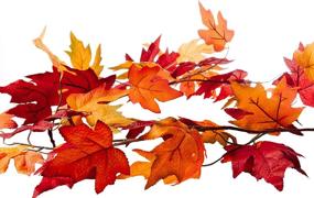 img 2 attached to 🍁 Captivating and Vibrant CraftMore Fall Maple Leaf Garland - 6 Feet Length