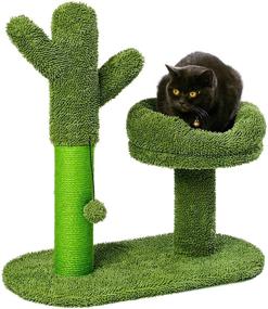 img 4 attached to 🌵 LUCKITTY Cactus Cat Scratching Post Tree with Play Ball | Green - Protect Furniture with Natural Sisal Scratching Post | Catcus Scratcher for Improved SEO