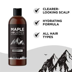 img 1 attached to 🌲 Ultimate Dry Scalp Care: Clarifying Moisturizing Shampoo with Cedarwood and Tea Tree Oils