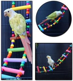 img 2 attached to 🐦 LITTLEGRASS 12 Steps Bird Toys: 31-inch Wood Bird Ladder for Parrots, Flexible Rainbow Swing Bridge & Decorative Cage Accessories - Parakeet Birdcage Training Toy
