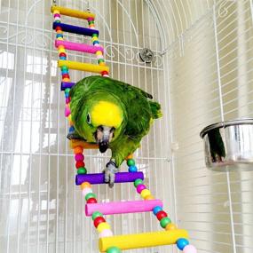 img 3 attached to 🐦 LITTLEGRASS 12 Steps Bird Toys: 31-inch Wood Bird Ladder for Parrots, Flexible Rainbow Swing Bridge & Decorative Cage Accessories - Parakeet Birdcage Training Toy