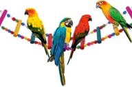 🐦 littlegrass 12 steps bird toys: 31-inch wood bird ladder for parrots, flexible rainbow swing bridge & decorative cage accessories - parakeet birdcage training toy logo