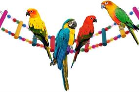 img 4 attached to 🐦 LITTLEGRASS 12 Steps Bird Toys: 31-inch Wood Bird Ladder for Parrots, Flexible Rainbow Swing Bridge & Decorative Cage Accessories - Parakeet Birdcage Training Toy