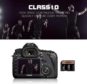 img 3 attached to 📸 High Speed 256GB SD Card - Class 10 Flash Memory Card for Vloggers, Filmmakers, Photographers & Content Curators