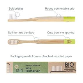 img 1 attached to 👶 Rain Natural Bamboo Kids Toothbrush Set | Fluoride-Free Baby Toothpaste (Safe to Swallow) with Vitamin C | 6-12 Months Up Infant Toddler Toothbrush | BPA-Free & Biodegradable (1 Toothbrush & 1 Toothpaste)