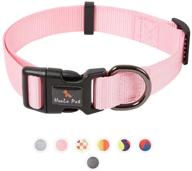 raindee collar safety locked adjusttable dogs logo