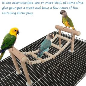 img 1 attached to 🦜 kathson Bird Perches Stand Toy: Enhance Your Bird's Playtime with Swing, Climbing Ladder, and Wooden Perch for Parakeets, Cockatiels, Lovebirds, Conures, and Finches!