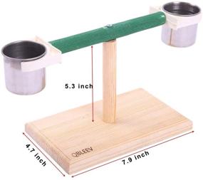img 1 attached to 🐦 Enhance Bird's Playtime with QBLEEV Bird Play Stands and Feeder Cups: Versatile Wood Perch Shelf and Training Playground for Small Cockatiels, Conures, Parakeets, Finch