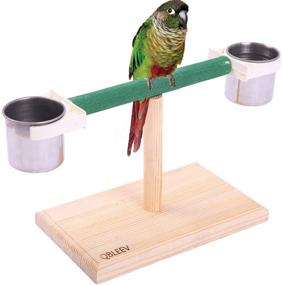 img 4 attached to 🐦 Enhance Bird's Playtime with QBLEEV Bird Play Stands and Feeder Cups: Versatile Wood Perch Shelf and Training Playground for Small Cockatiels, Conures, Parakeets, Finch