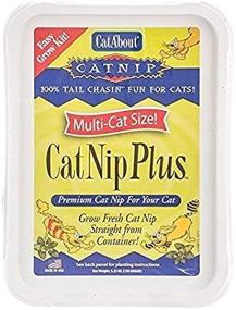 img 4 attached to 🐈 Cat-About Single Cat Grass Plus by MiracleCorp Gimborn: A Superb Choice for Feline Wellness