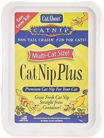 img 1 attached to 🐈 Cat-About Single Cat Grass Plus by MiracleCorp Gimborn: A Superb Choice for Feline Wellness