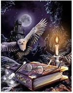 🦉 magical harry potter owl paint by numbers kit | diy painting for adults and kids | halloween owl acrylic painting kit for home décor, living room, bedroom logo