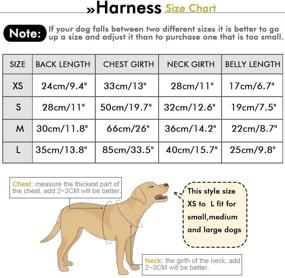 img 2 attached to SELMAI Поводок-охлаждающий жилет-комбинезон для собак - испаряющая куртка для комфортного охлаждения - регулируемая дышащая 🐶 куртка для маленьких, средних и больших кошек - питомник для прогулок, охоты, тренировок, активного отдыха на открытом воздухе, походов в летнее время