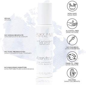 img 2 attached to 🌿 Dewy Face Mist - Facial Toner and Moisturizer - Hydrating Superfruit Firming Face Spray - Women-Owned Company - Made in Canada - Premier Class Skincare - (75 ml)