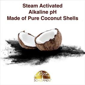 img 2 attached to Активированный кокосовый уголь в порошке Schizandu Organics: идеальное веганское решение для детоксикации кожи, организма и пищеварительного здоровья.