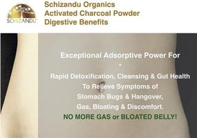img 1 attached to Schizandu Organics Activated Coconut Charcoal Powder: The Ultimate Vegan Detox Solution for Skin, Body & Digestive Health
