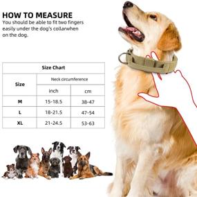 img 3 attached to 🐺 FancyWolf 1.5-Inch Tactical Dog Collar for Military Training - Adjustable, Durable, Soft Nylon, Heavy Duty with Metal Buckle, Control Handle, and D-Ring