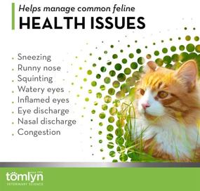 img 2 attached to 🐱 Enhance Your Cat's Immune System with Tomlyn Immune Support Daily L-Lysine Supplement: Fish-Flavored Lysine Powder for Cats and Kittens, 3.5oz