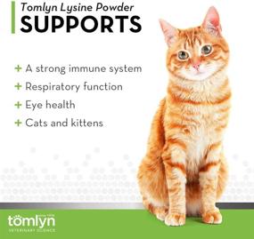 img 3 attached to 🐱 Enhance Your Cat's Immune System with Tomlyn Immune Support Daily L-Lysine Supplement: Fish-Flavored Lysine Powder for Cats and Kittens, 3.5oz