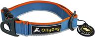 🐶 enhanced-performance reflective webbing dog collar with side-release buckle - the ollydog urban journey collar logo