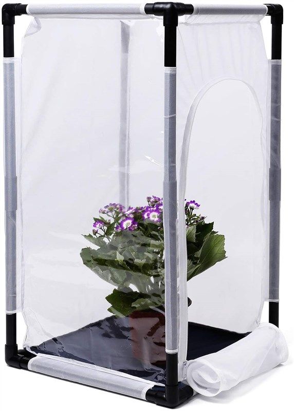 restcloud monarch butterfly habitat terrarium 로고