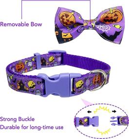 img 3 attached to 🎃 Halloween Dog Collar with Bowtie: 2 Pack Holiday Pumpkin Ghost Pet Collar for Dogs!