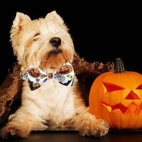 img 1 attached to 🎃 Halloween Dog Collar with Bowtie: 2 Pack Holiday Pumpkin Ghost Pet Collar for Dogs!