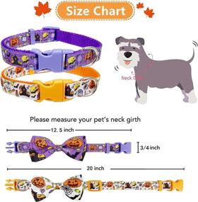 img 2 attached to 🎃 Halloween Dog Collar with Bowtie: 2 Pack Holiday Pumpkin Ghost Pet Collar for Dogs!