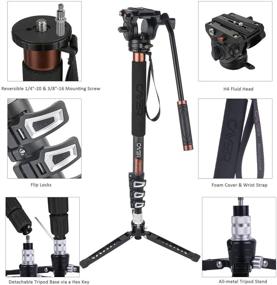 img 3 attached to 📷 Cayer CF34 Carbon Fiber Camer Monopod Kit - 71 inch Professional Telescopic Video Monopods with Fluid Head and Folding Base - Ideal for DSLR Video Cameras Camcorders, includes Extra Sliding Plate