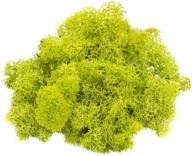 🌿 reindeer moss preserved: vibrant chartreuse colored moss for fairy gardens, terrariums, and crafts – includes bonus free nautical ebook by joseph rains (2 ounces) logo