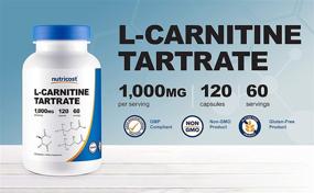 img 2 attached to 💊 Nutricost L-Carnitine Tartrate 500mg, 120 Capsules - Powerful 1000mg Per Serving (60 Servings)