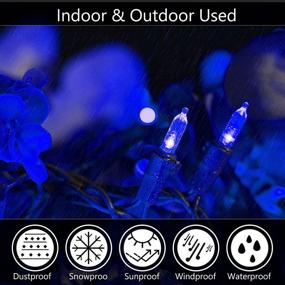 img 1 attached to 🎄 Hemonie Christmas Lights Outdoor - IP44 Waterproof, UL Certified 33Ft 100 LED Lights Green Wire Tree Lights - Perfect for Outdoor/Indoor Holiday Party Garden Decor in Blue