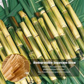 img 2 attached to 100pcs Sugarcane Straws: Eco-Friendly, Biodegradable, and Sturdy 8 Inch Drinking Straws – Ideal for Home, Restaurant, Beach Parties & Smoothies – Plastic-Free and Compostable, Non-Foggy