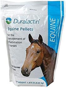 img 4 attached to Duralactin Equine Pellets - 1.875 lbs