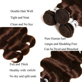 img 2 attached to 💁 Natural and Versatile Light Brown Brazilian Body Wave Extensions - 100% Virgin Human Hair 3 Bundles (10 12 14 inch) - Grade 9A Remy Hair Weave Extensions