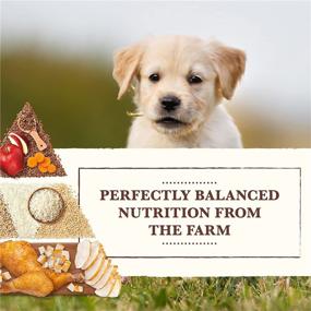 img 2 attached to 🐶 Optimized Whole Earth Farms Dry Puppy Food with Nutritious Grains