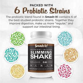 img 1 attached to 🍫 Primal Labs Smash-It Nutrient Infused Low Carb Protein Powder for Weight Loss | Keto Meal Replacement Shake Powder | Gluten-Free Whey Protein Powder | Delicious Chocolate Flavor | 780 Grams